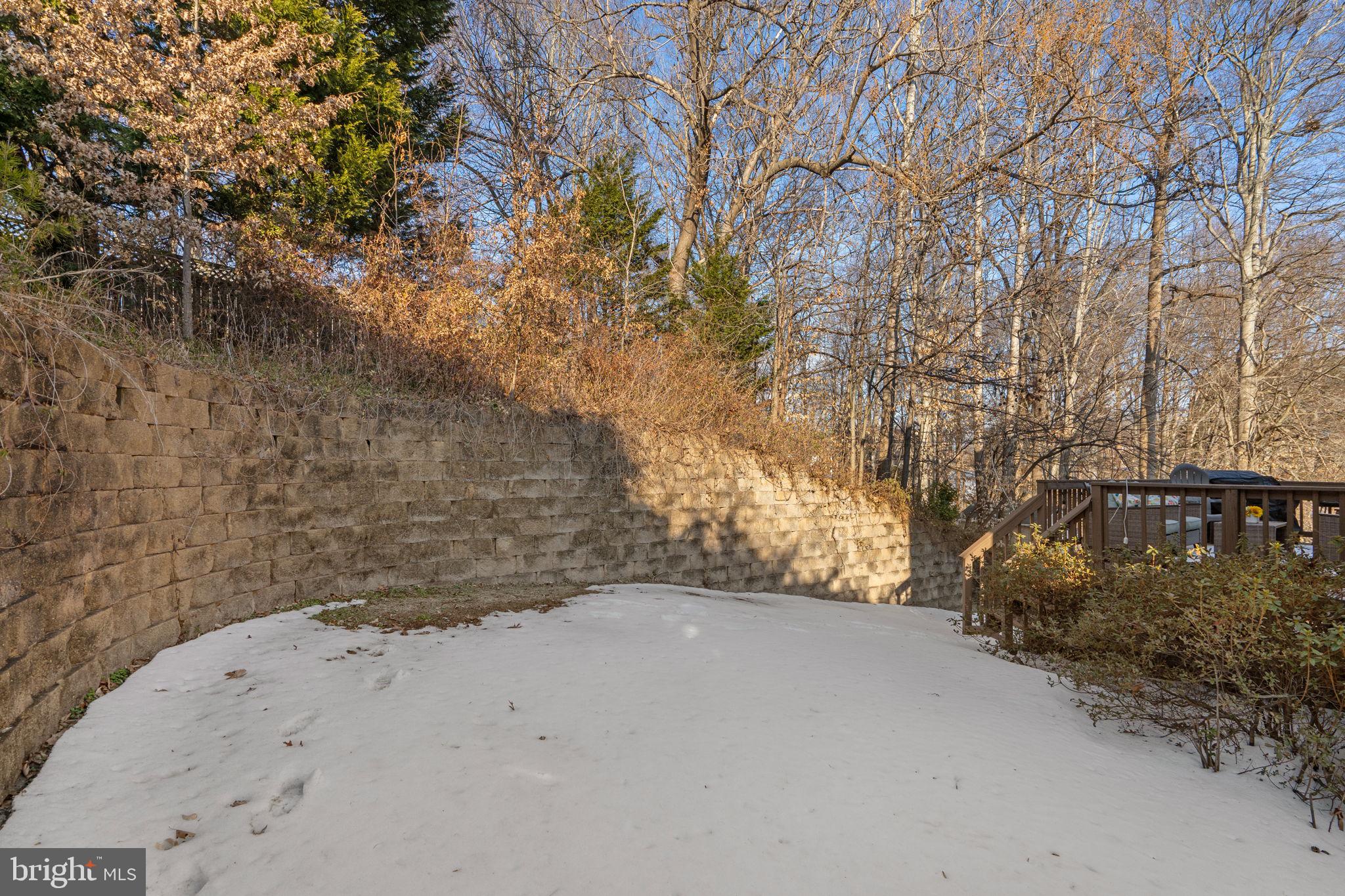 42 Lawhorn Road Stafford, VA 22554 - Photo 42 of 46 a view of a yard with a tree