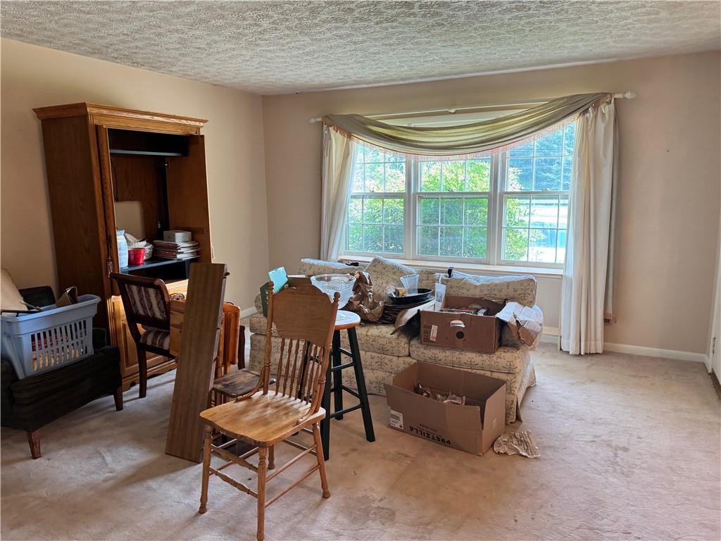 3091 Browns Bridge Road Gainesville, GA 30504 - Photo 17 of 26