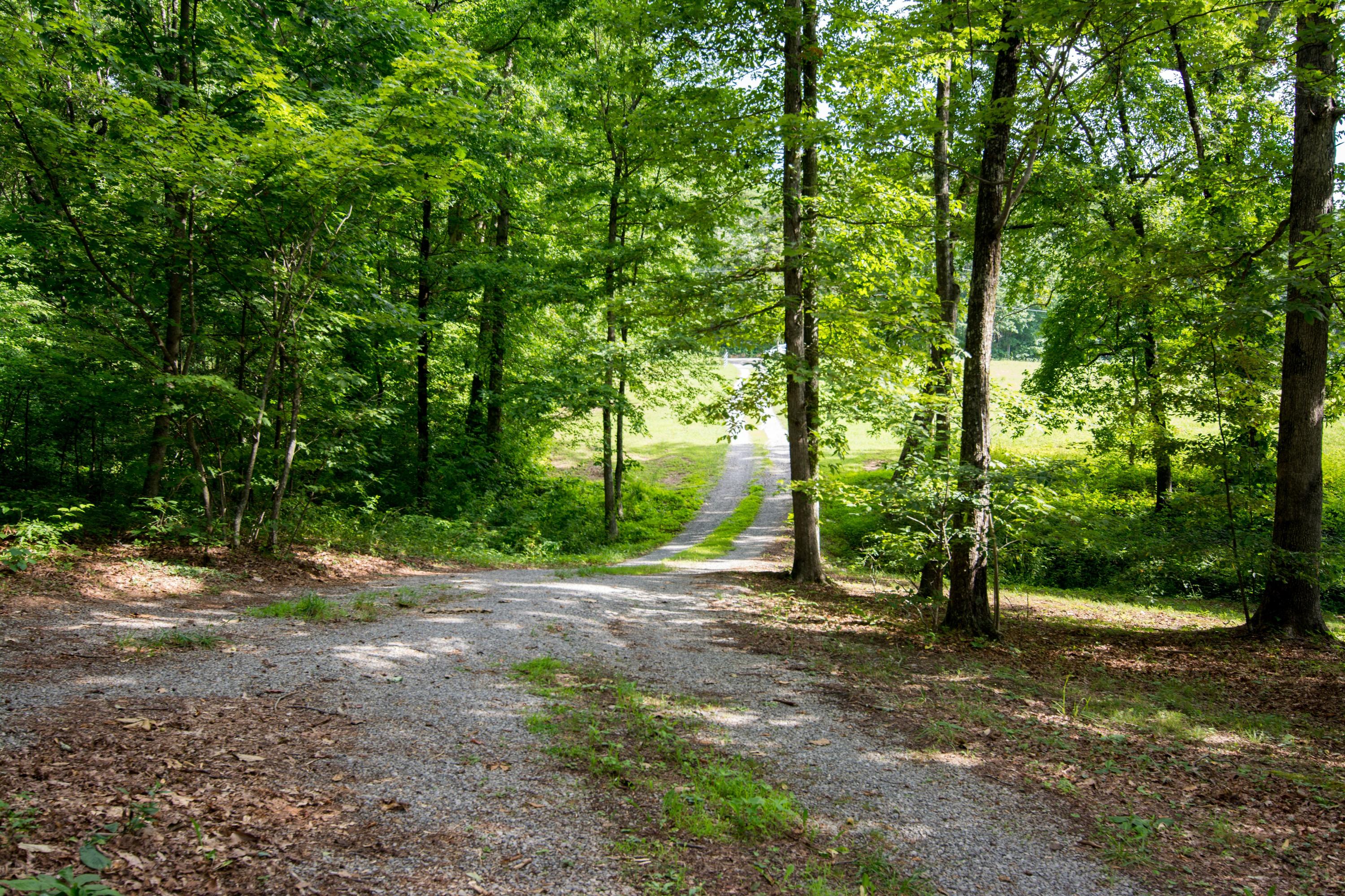 371 Deerhead Road Dunlap, TN 37327 - Photo 5 of 52 Deerhead Property-11