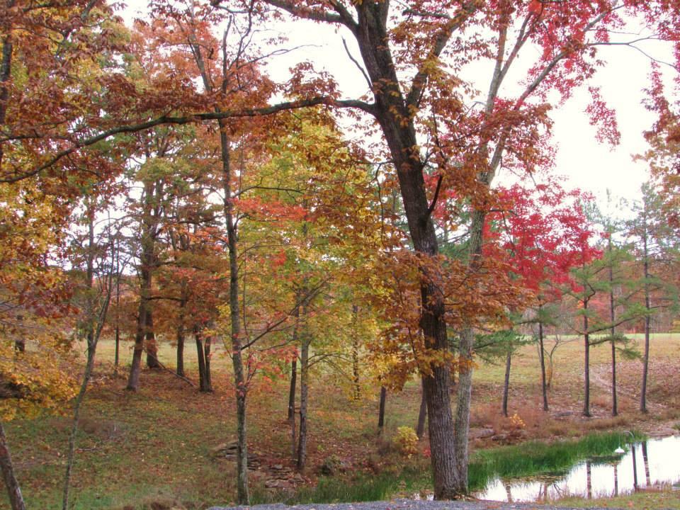 371 Deerhead Road Dunlap, TN 37327 - Photo 49 of 52 tn_1200_85ce4e0dd860c5d4ffb9c5bed06fbc55