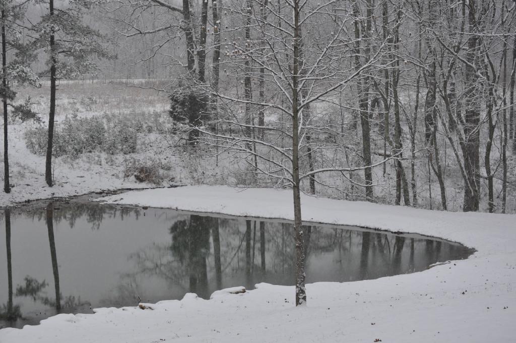 371 Deerhead Road Dunlap, TN 37327 - Photo 50 of 52 tn_1200_958731708a4d214db561a2ab54cfae8b