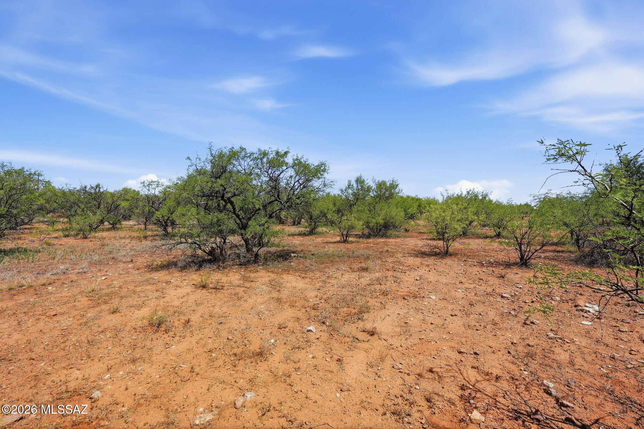 16315 West Ili Teka Road Arivaca, AZ 85601 - Photo 8 of 44 Enjoy the nature