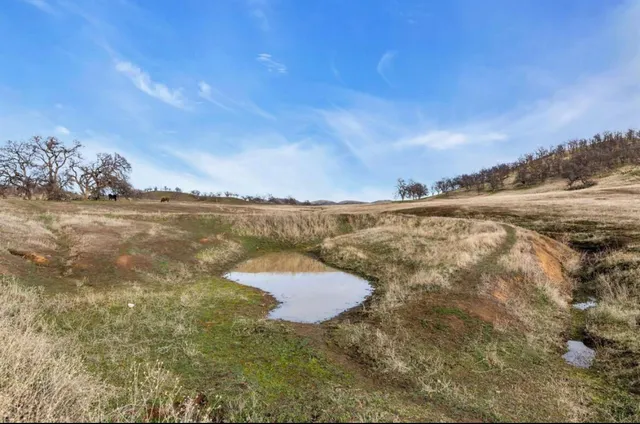 a view of yard covered with snow