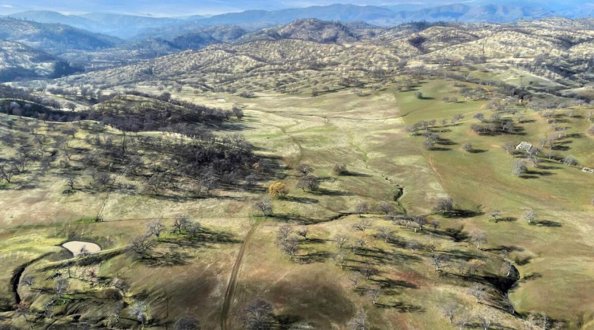 Fiddlers Road Platina, CA 96076 - Photo 16 of 26 a view of a yard