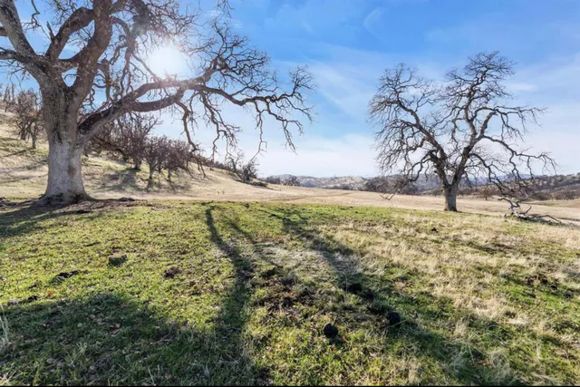a view of a big yard with an ocean view