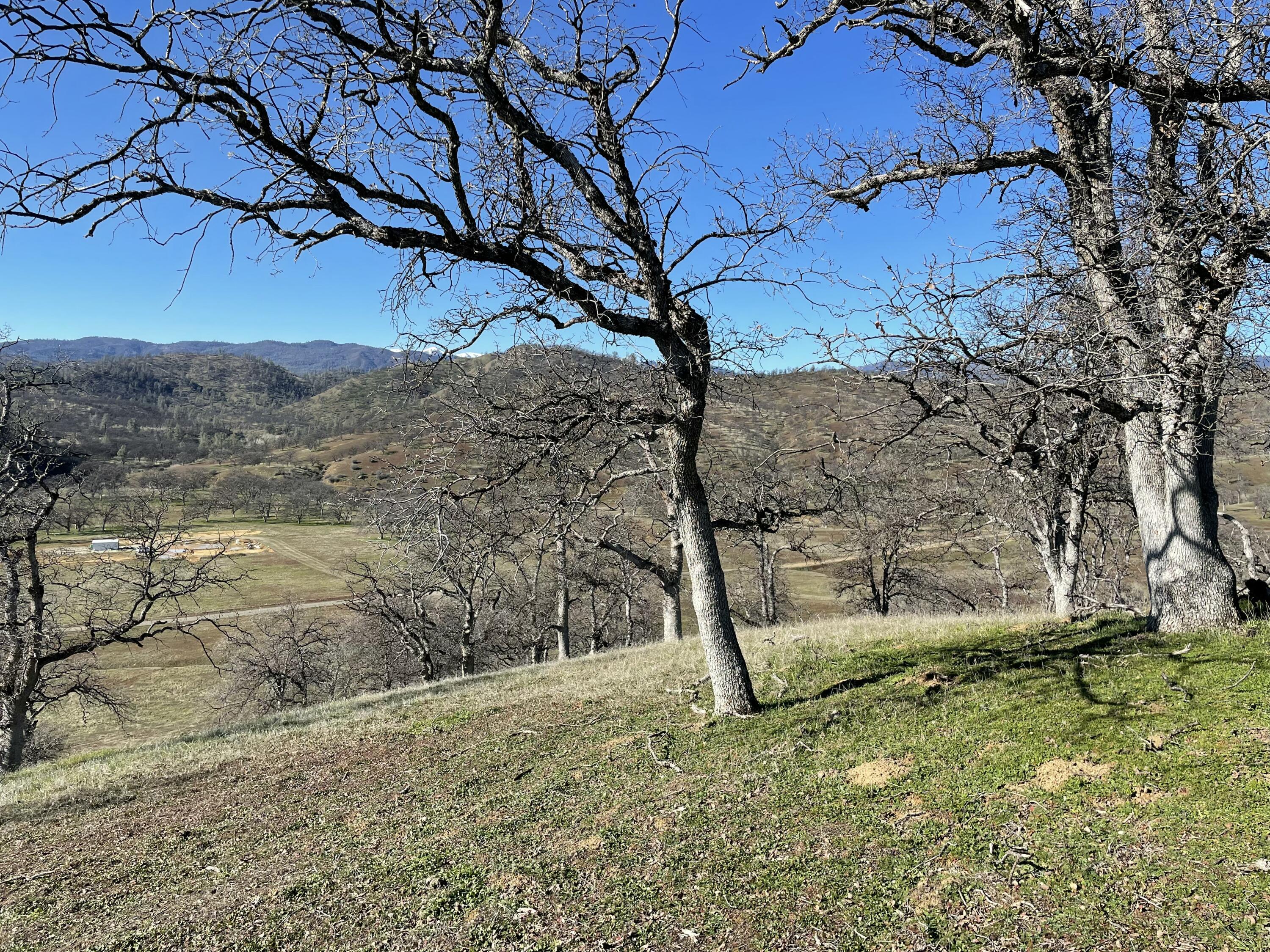 Fiddlers Road Platina, CA 96076 - Photo 18 of 26 a view of outdoor space