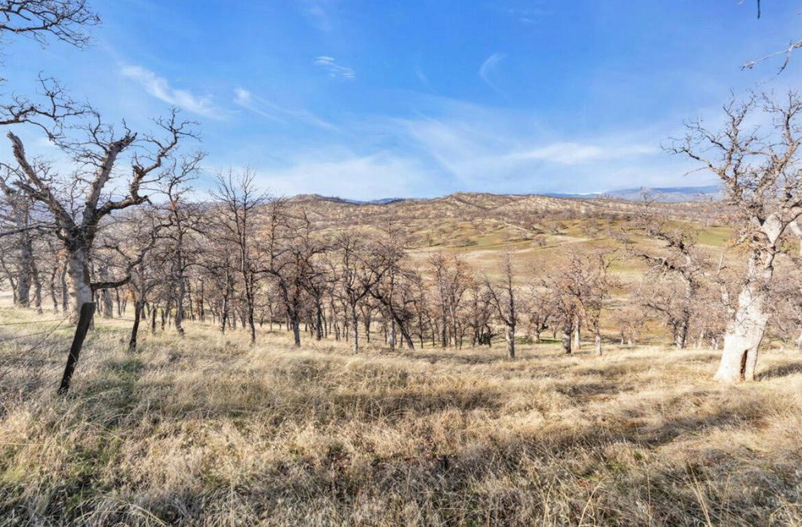 Fiddlers Road Platina, CA 96076 - Photo 3 of 26 a view of mountain view with mountain