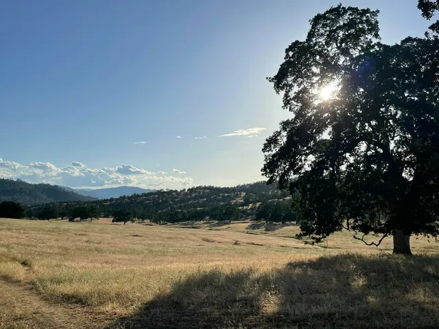 a view of outdoor space with trees