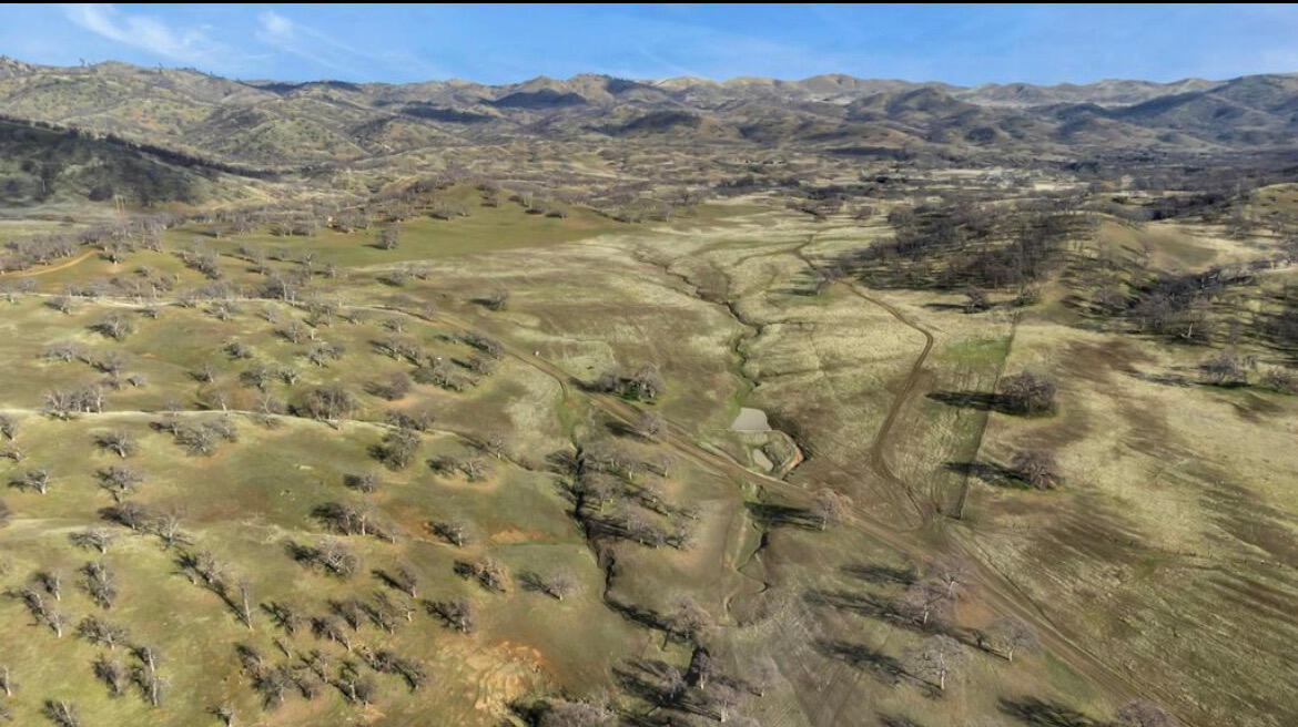 Fiddlers Road Platina, CA 96076 - Photo 10 of 26 a view of a dry space with mountain view