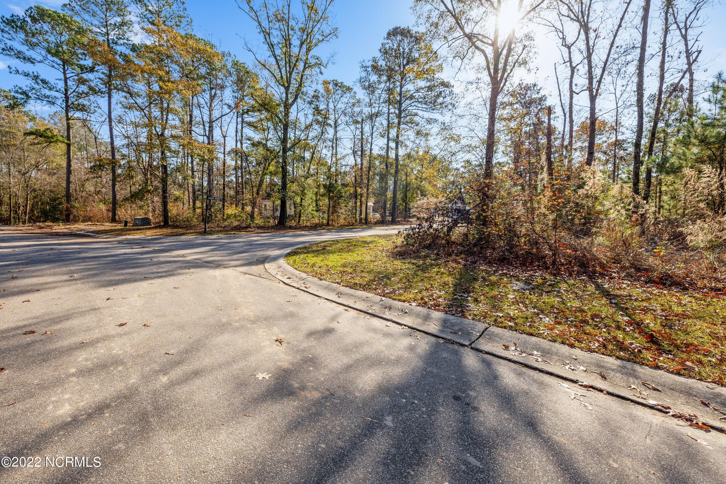9688 Red Raspberry Road Northeast Leland, NC 28451 - Photo 5 of 26 1Q3A0717.jpg-SMALL
