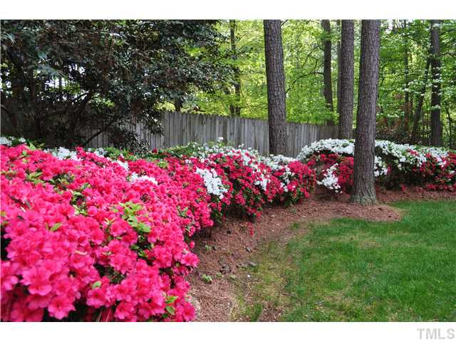 1102 Queensferry Road Cary, NC 27511 - Photo 11 of 18 A wonderful way to welcome Spring!!!
