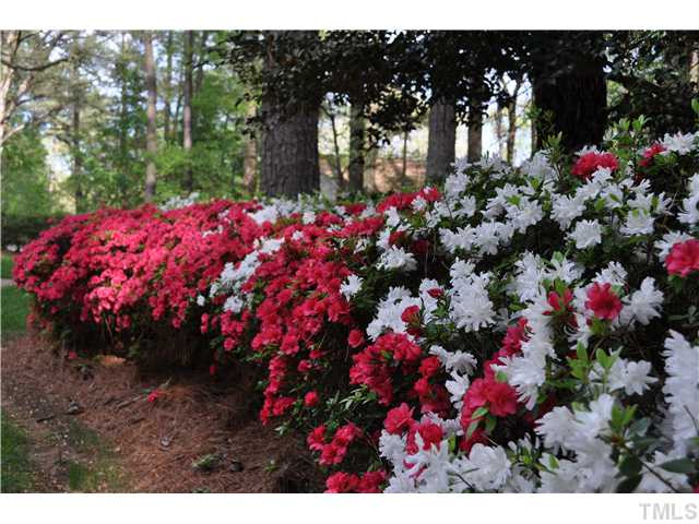 1102 Queensferry Road Cary, NC 27511 - Photo 12 of 18 Photo 12