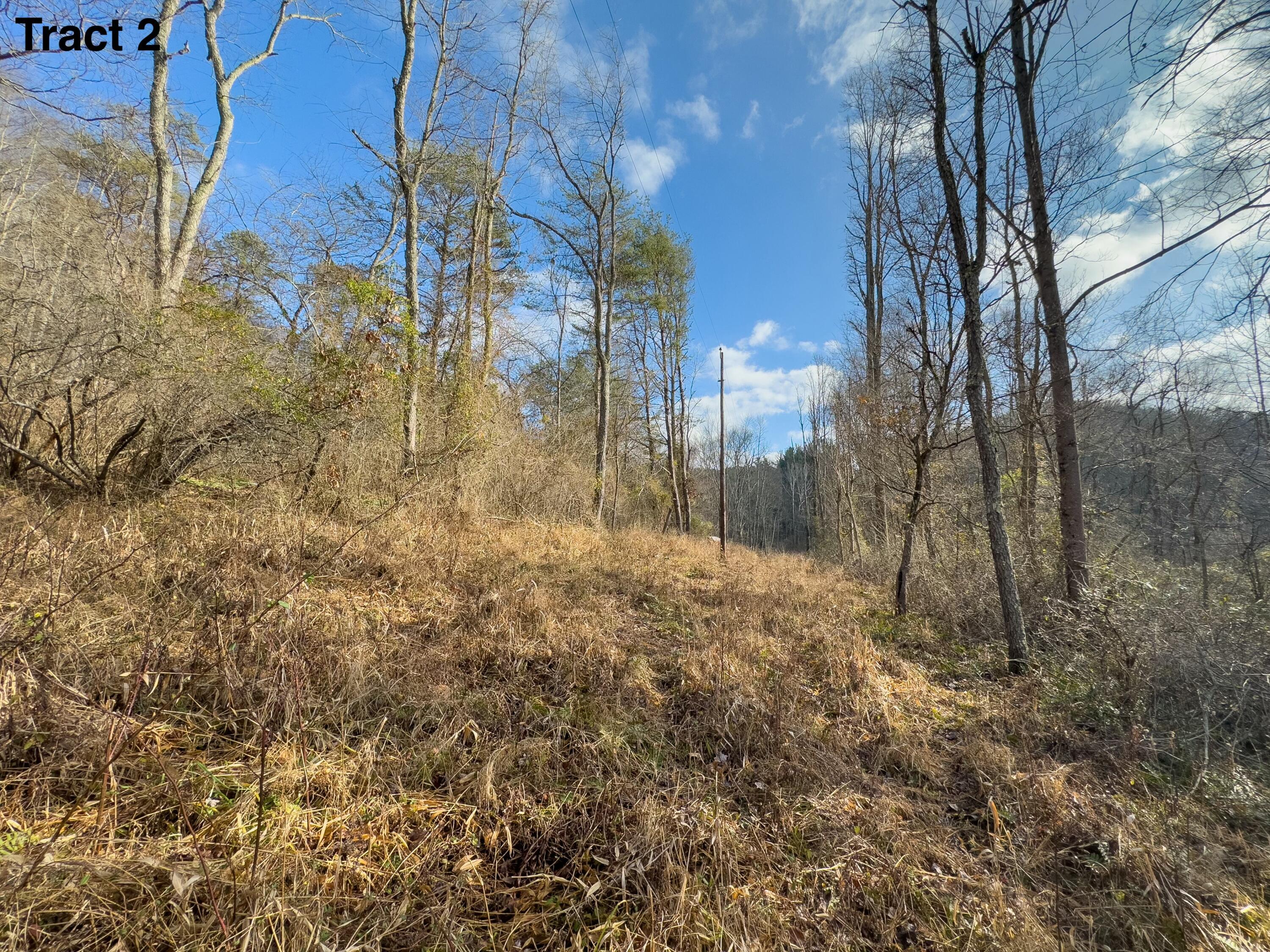 24453 Woltz Road Rockbridge, OH 43149 - Photo 24 of 28 tempImageapqn62