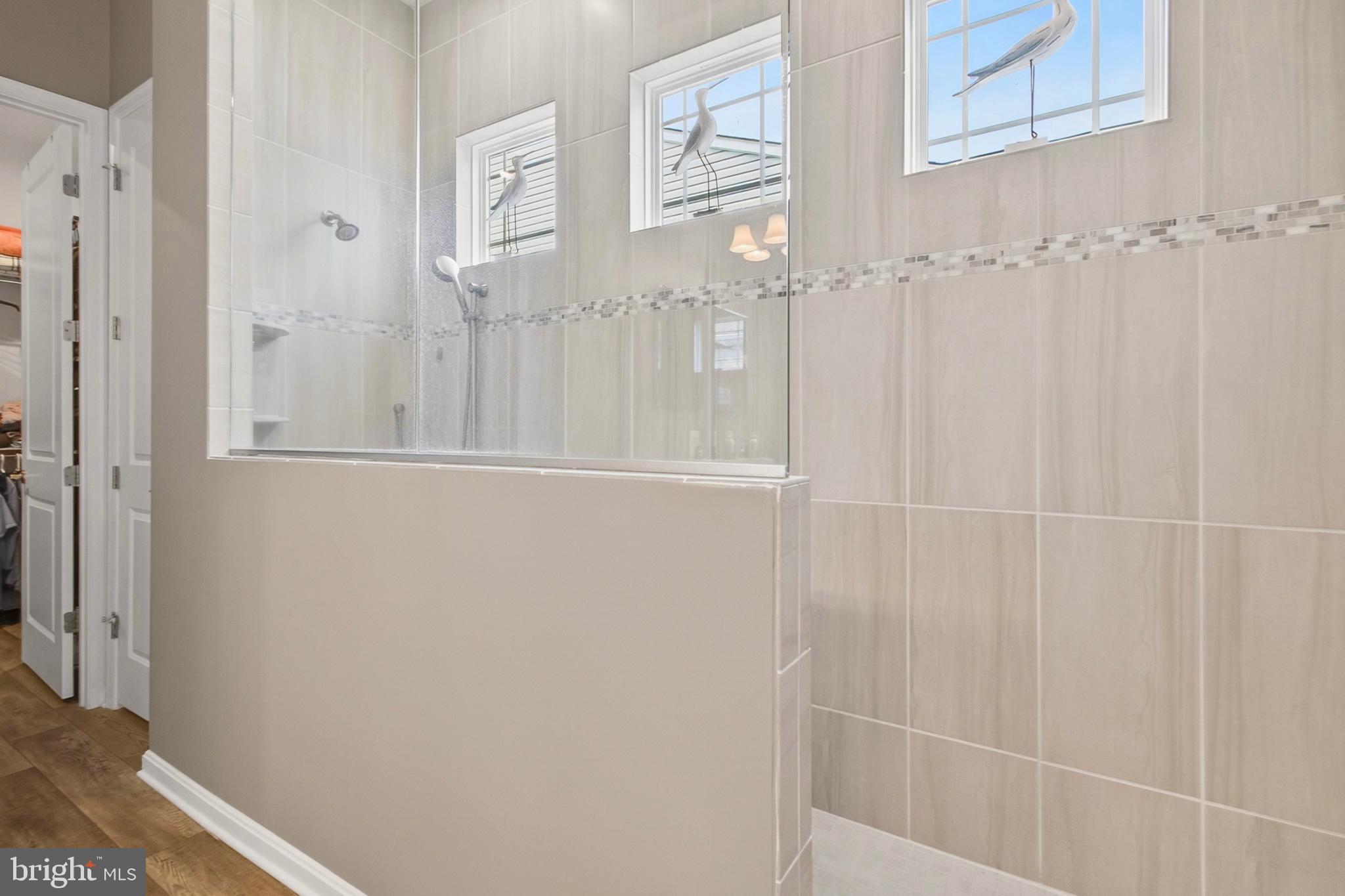 21144 Conti Street Lewes, DE 19958 - Photo 42 of 81 Spa Shower