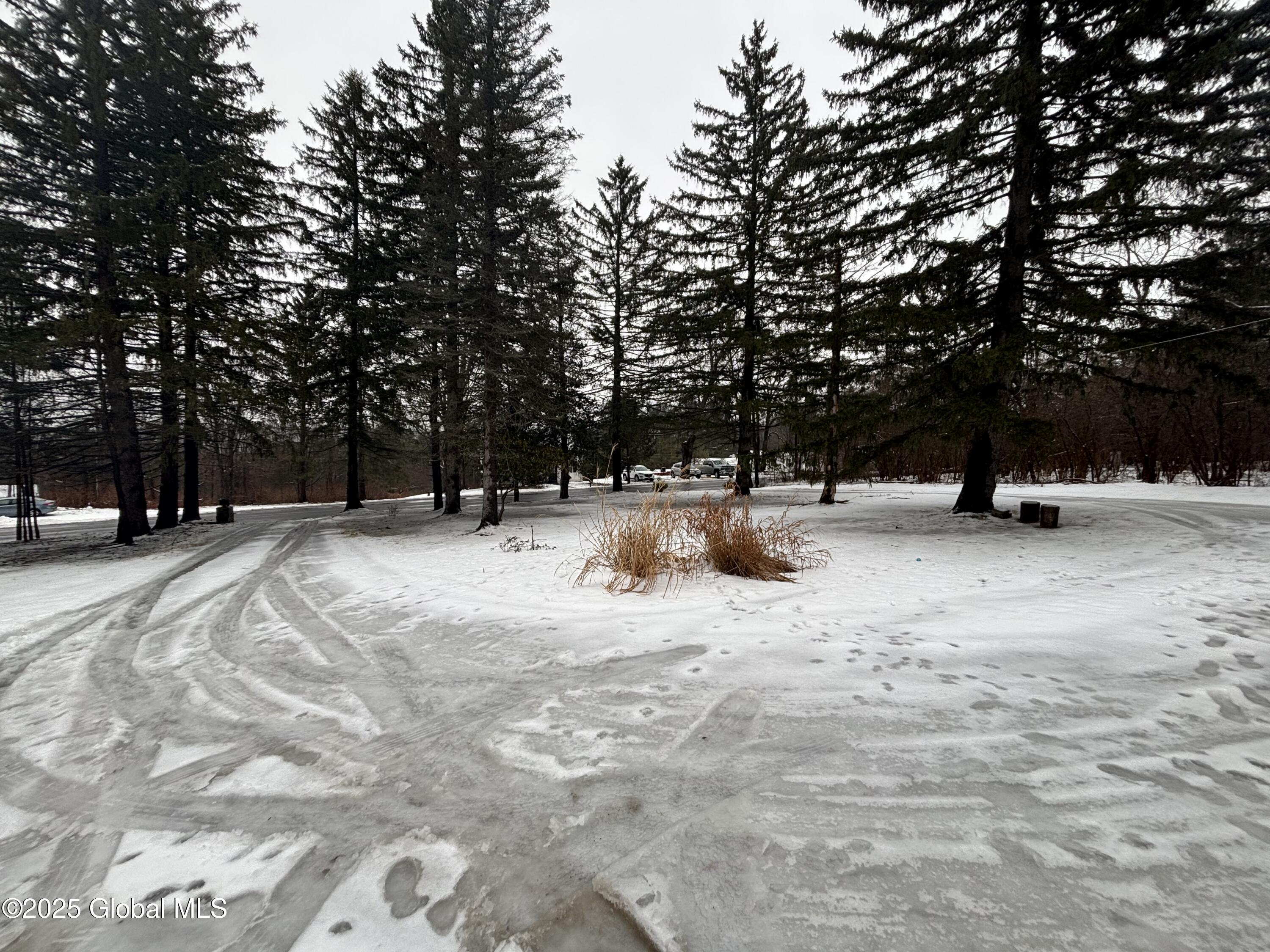 1042 Coddington Road Ithaca, NY 14850 - Photo 16 of 84 U Shaped Driveway