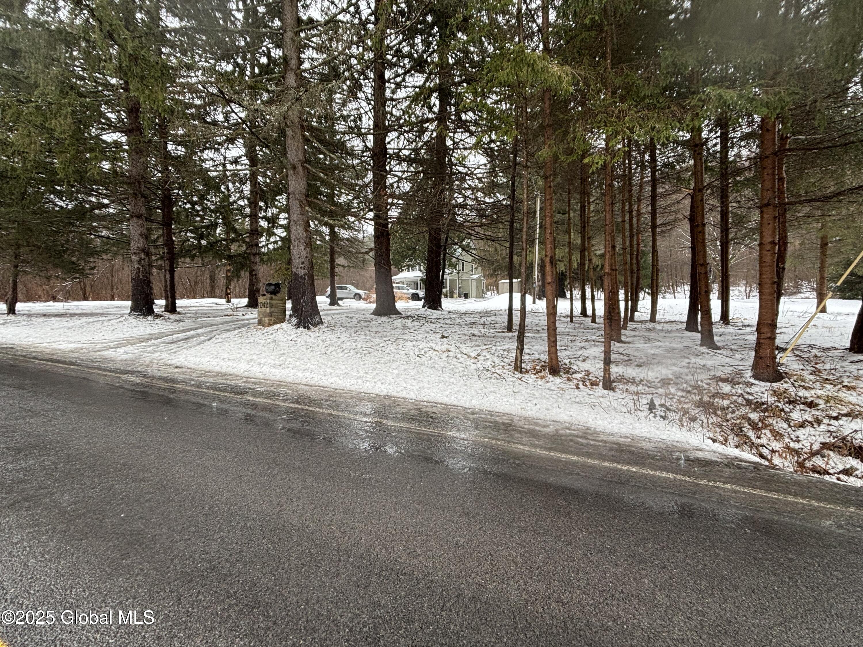 1042 Coddington Road Ithaca, NY 14850 - Photo 19 of 84 Across the Street