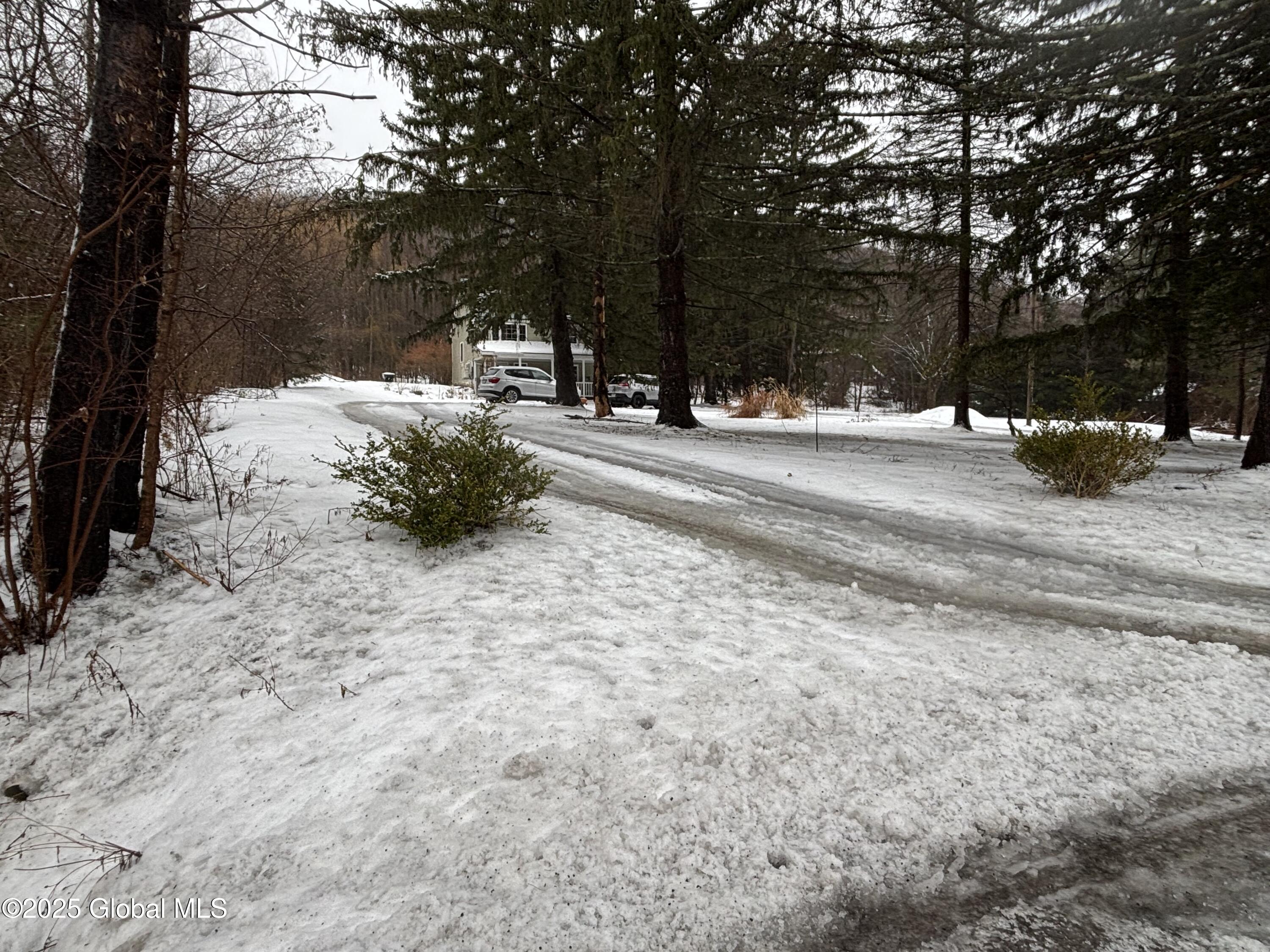 1042 Coddington Road Ithaca, NY 14850 - Photo 6 of 84 Driveway