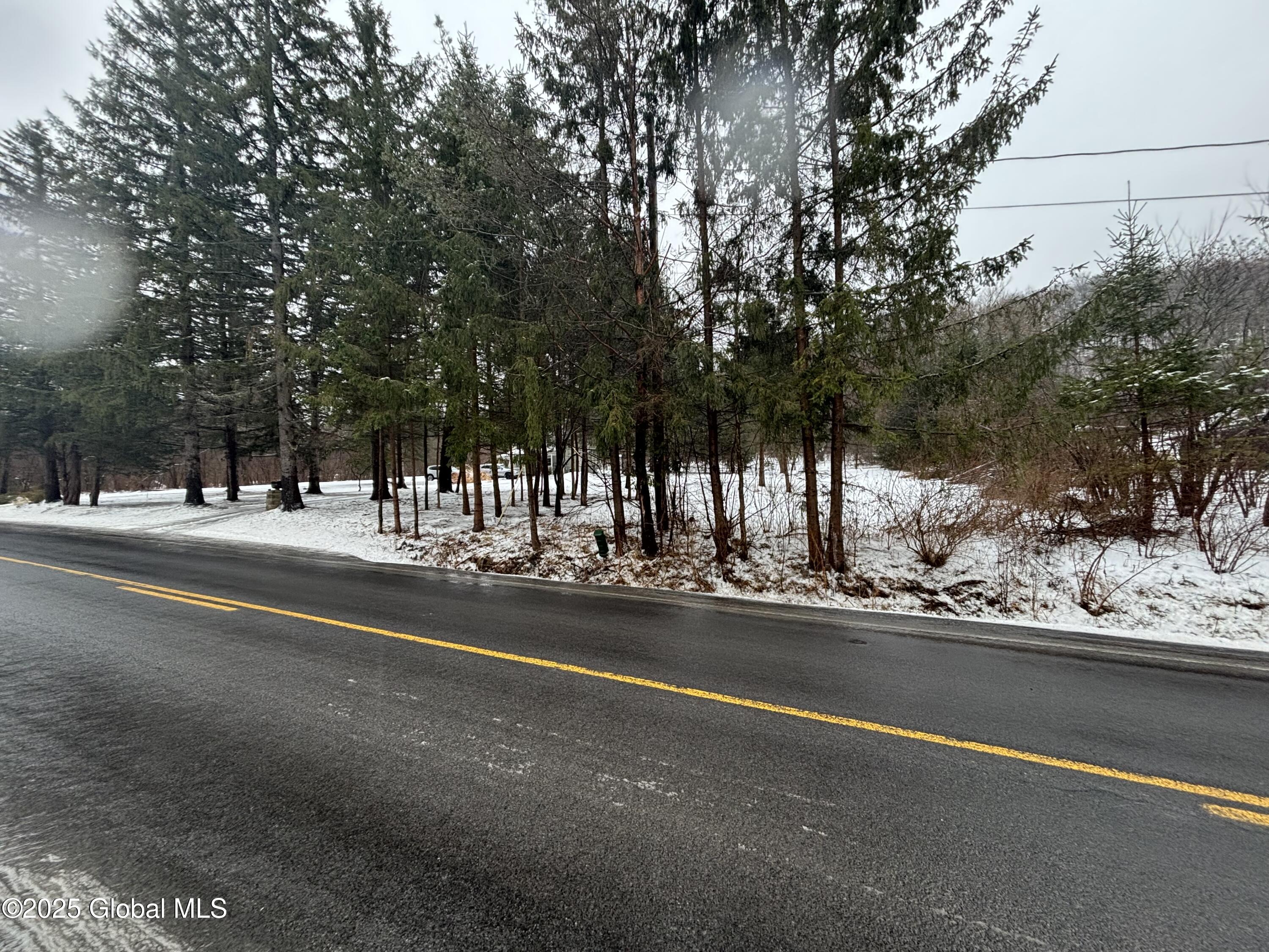 1042 Coddington Road Ithaca, NY 14850 - Photo 79 of 84 IMG_0751