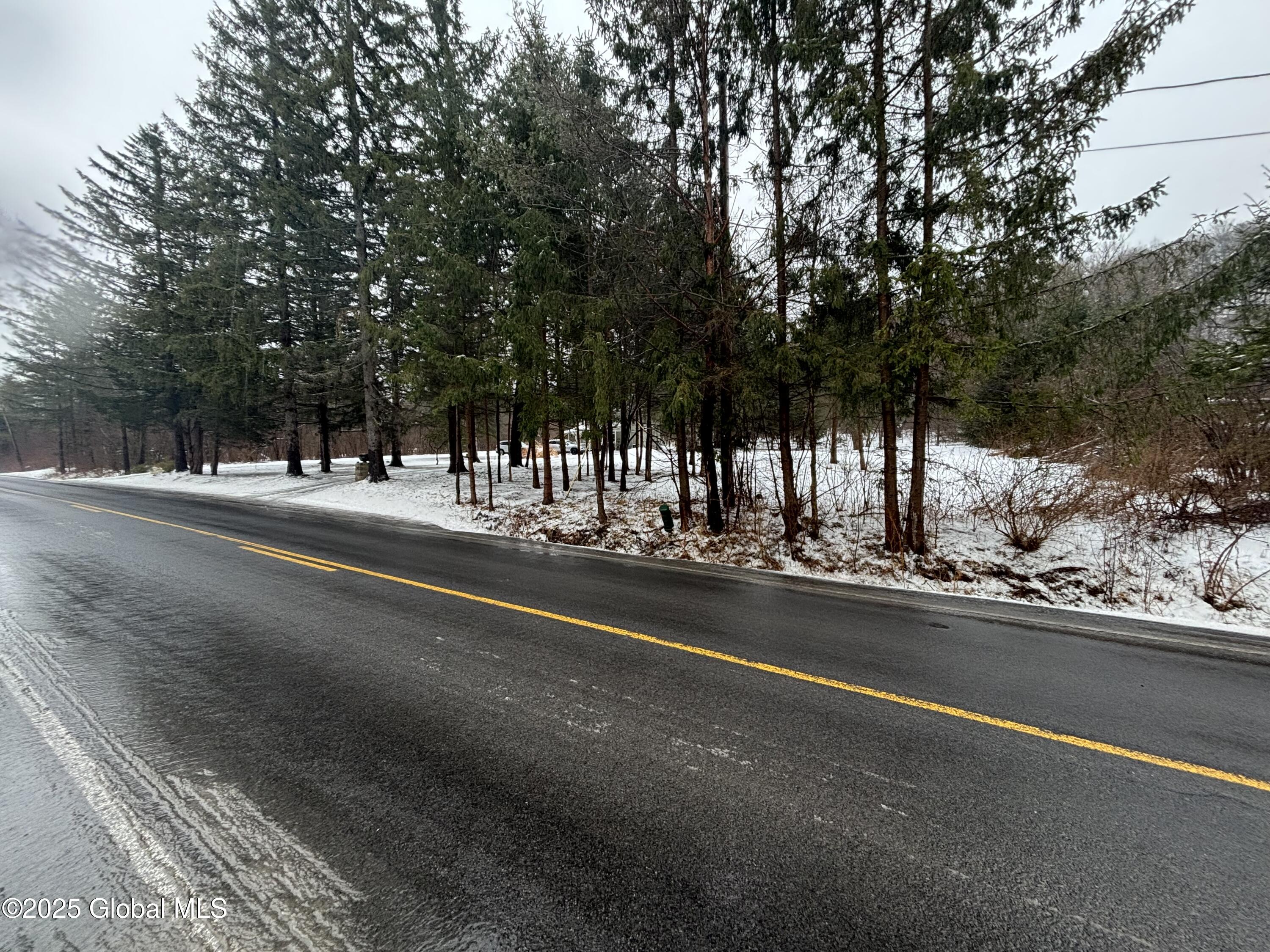 1042 Coddington Road Ithaca, NY 14850 - Photo 80 of 84 IMG_0750