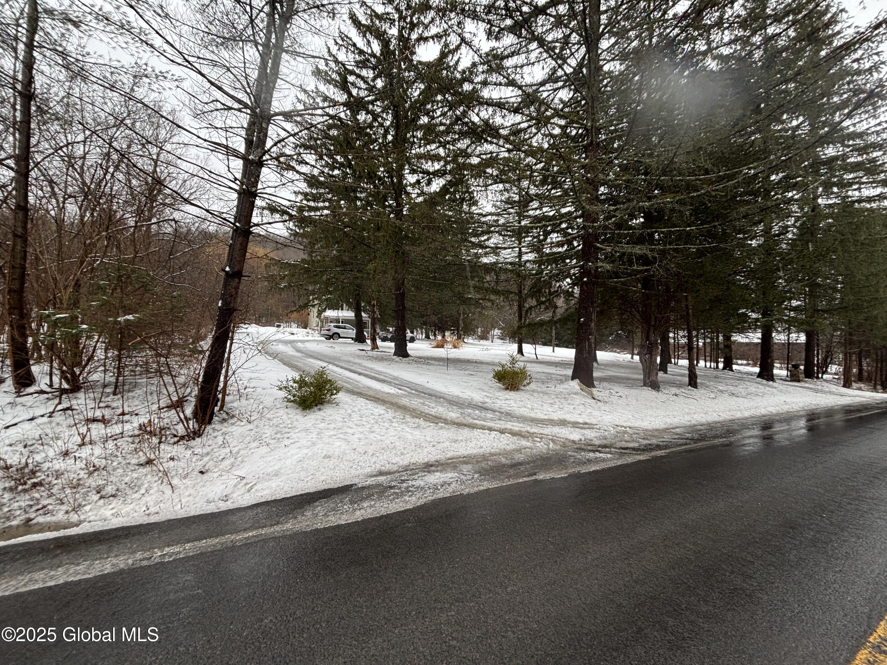 1042 Coddington Road Ithaca, NY 14850 - Photo 84 of 84 IMG_0760