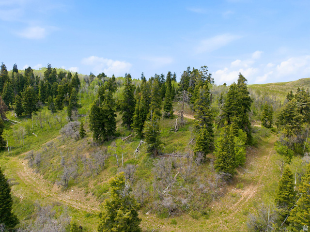 140 West Elk Road, Unit 140 Coalville, UT 84017 - Photo 10 of 29