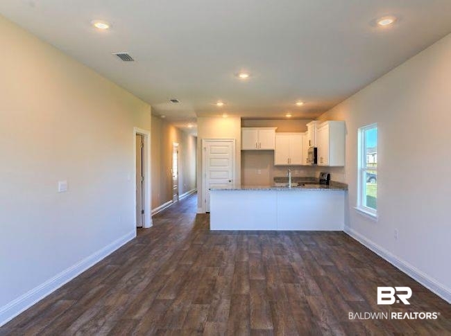 16810 Rocher Court Foley, AL 36535 - Photo 9 of 24 Open-concept living space featuring wood-finish flooring, recessed lighting, and a kitchen with white cabinetry, a peninsula with a stone-finish countertop, and a stainless steel sink