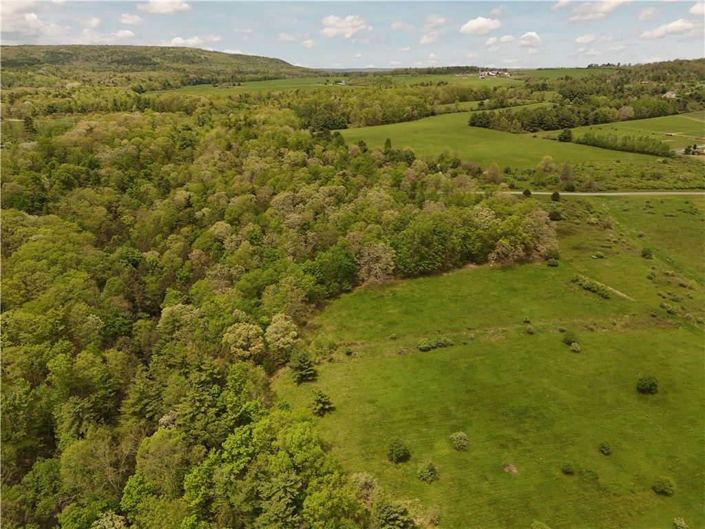 0 Middle Road Hammondsport, NY 14840 - Photo 19 of 20