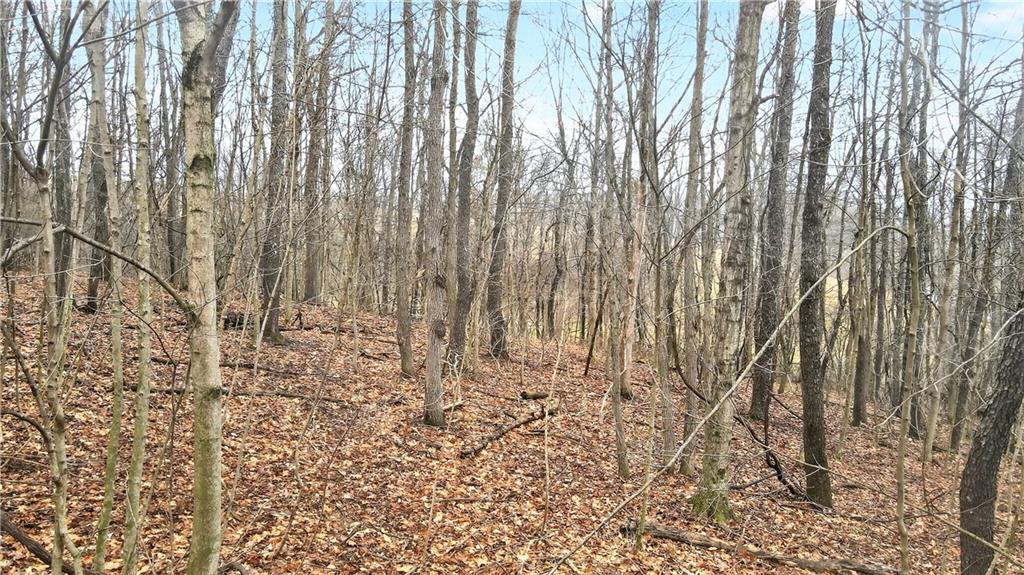 220 Main Road West Alexander, PA 15376 - Photo 39 of 44 a view of wooden floor