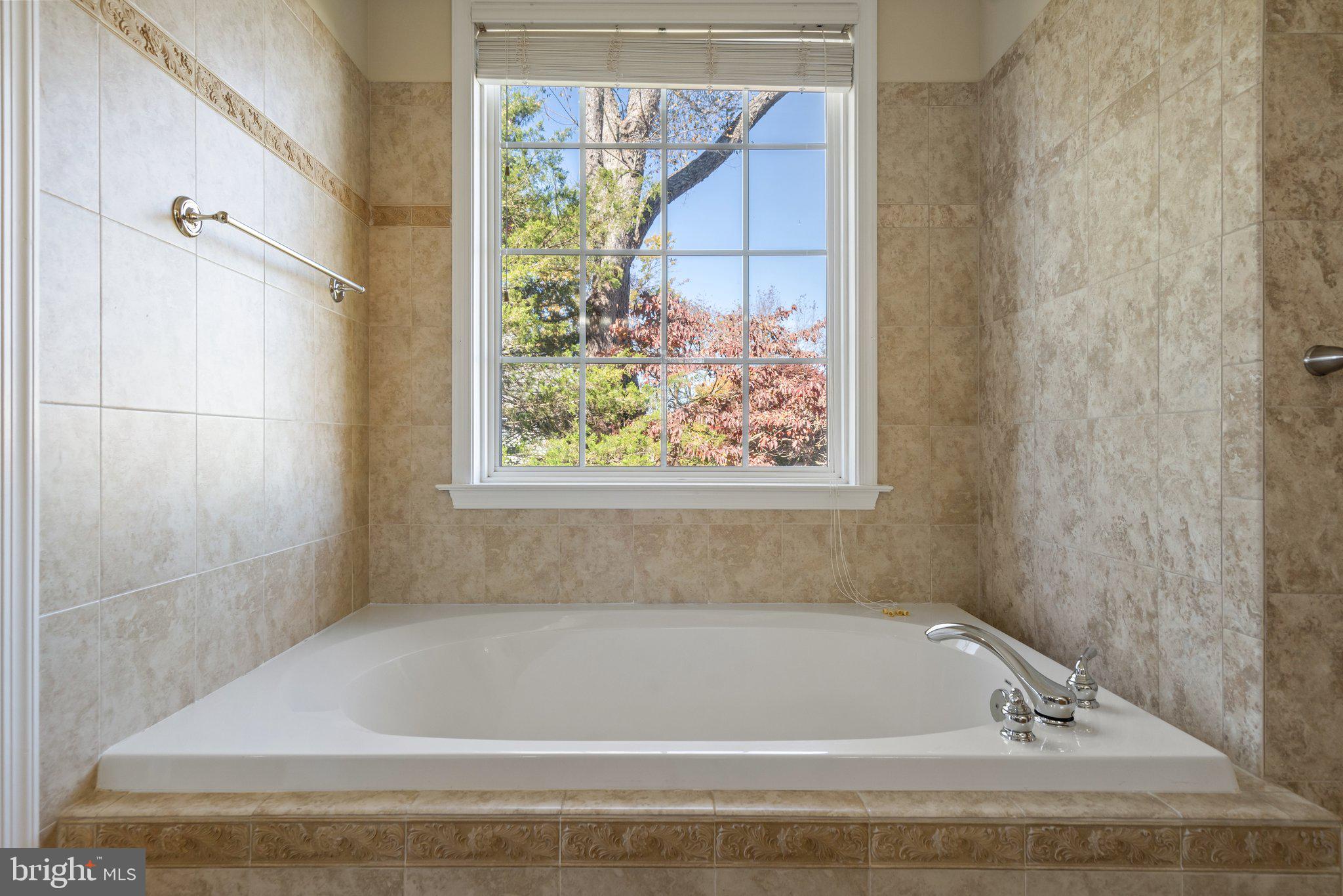 19089 Stallion Road Culpeper, VA 22701 - Photo 44 of 68 Primary Bath
