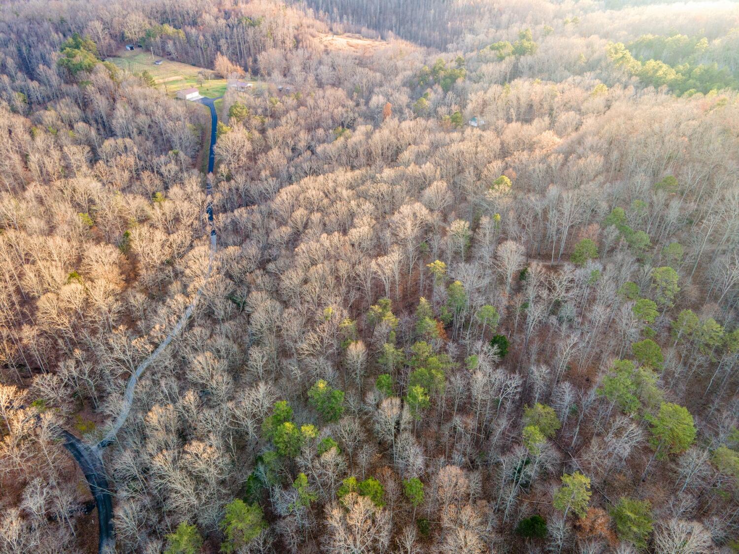 9999 West Adkins Arthur Road Somerset, KY 42501 - Photo 2 of 24 07_DJI_0622
