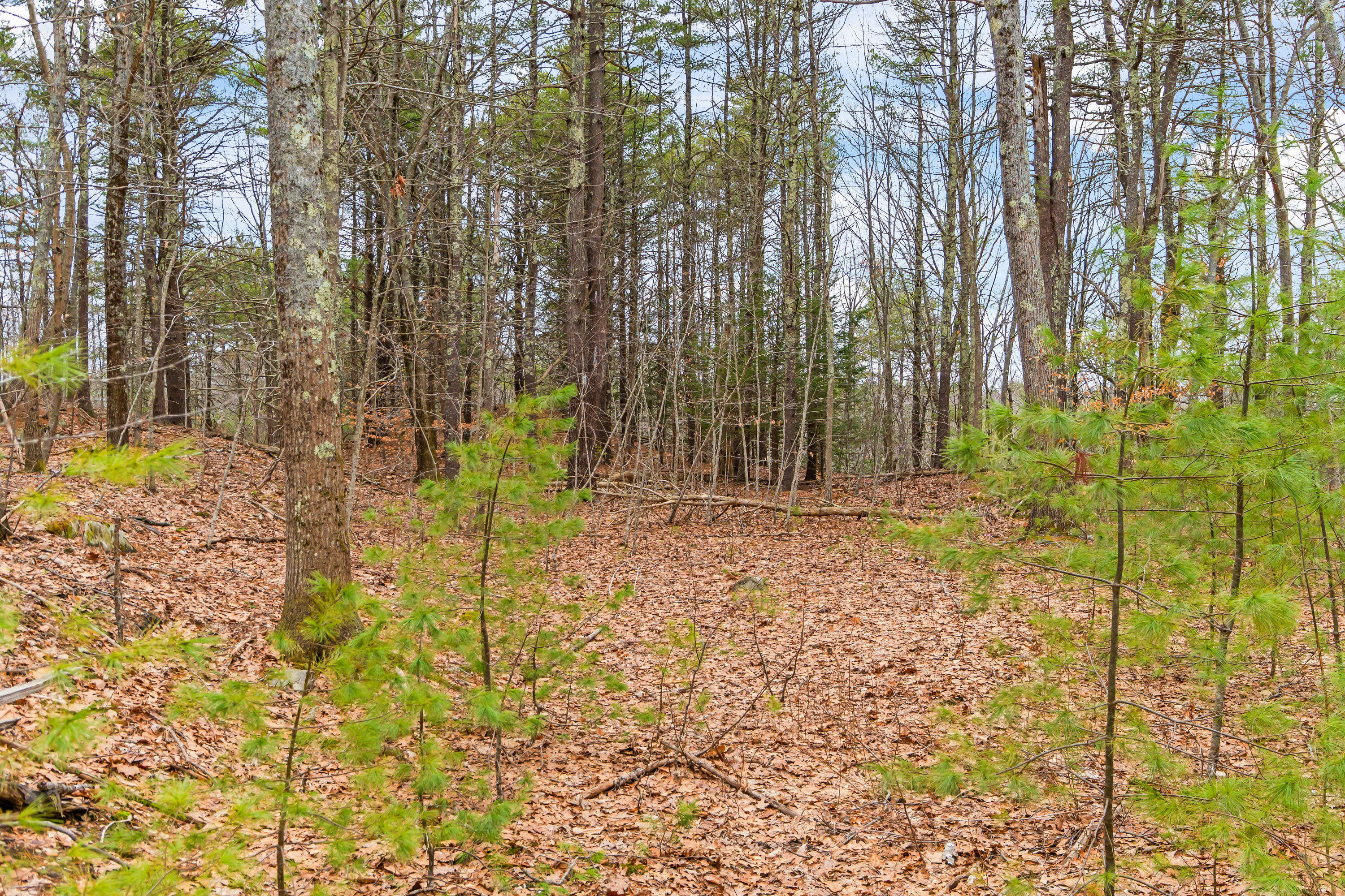 16 Fall Mill Road, Unit LOT 2 York, ME 03909 - Photo 11 of 12 16 Fall Mill Rd Ext, Lot 2, York