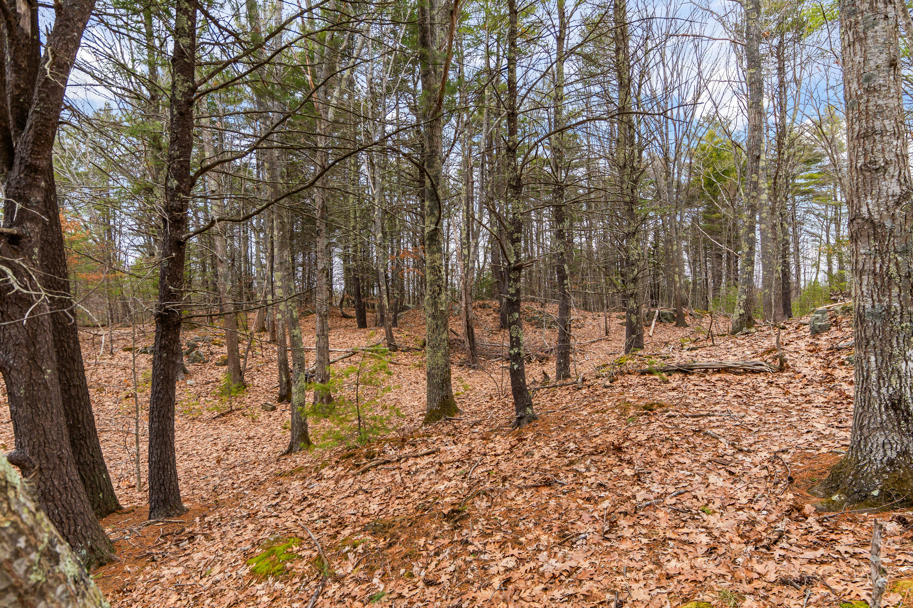 16 Fall Mill Road, Unit LOT 2 York, ME 03909 - Photo 7 of 12 16 Fall Mill Rd Ext, Lot 2, York