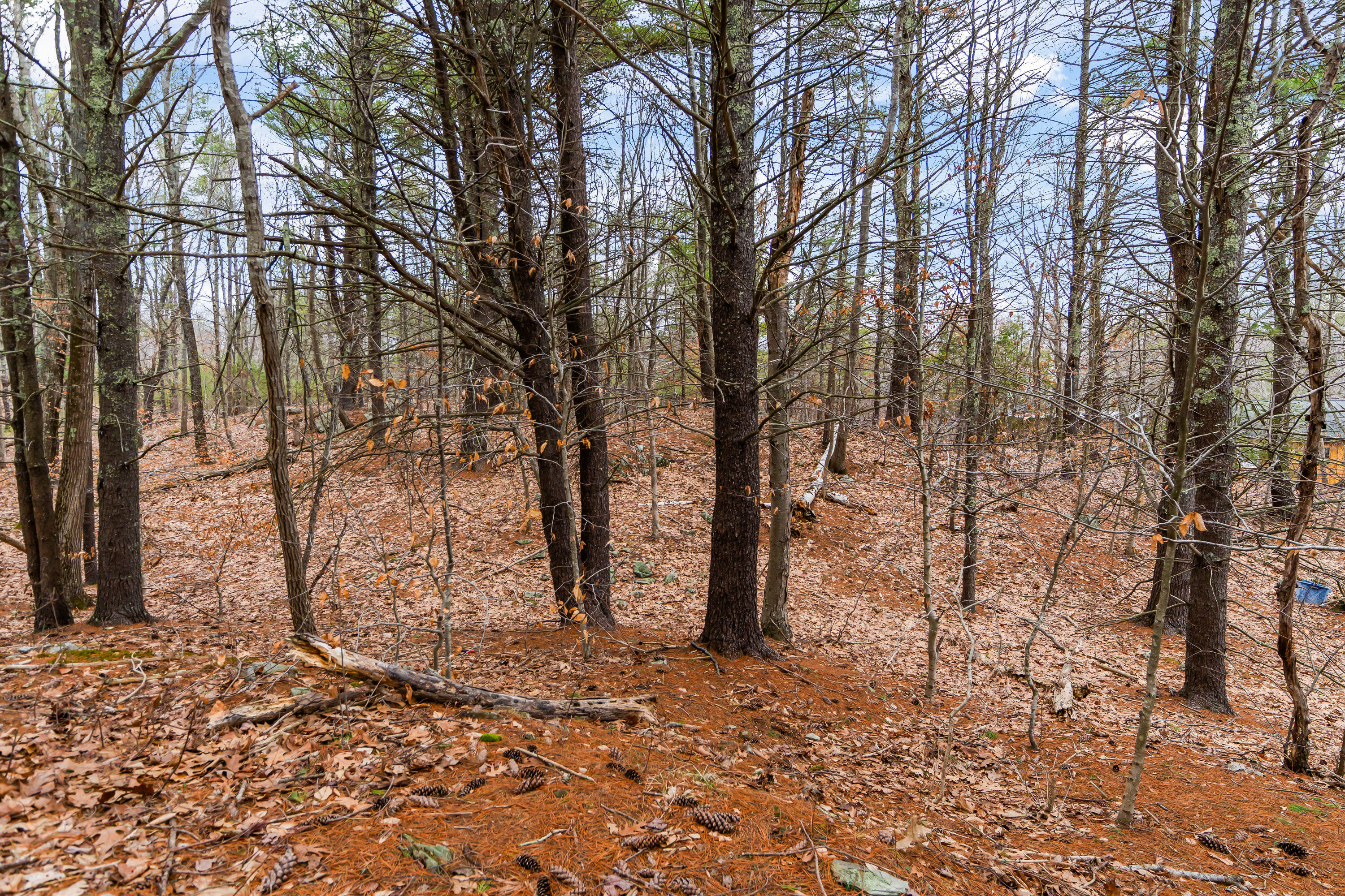 16 Fall Mill Road, Unit LOT 2 York, ME 03909 - Photo 8 of 12 16 Fall Mill Rd Ext, Lot 2, York