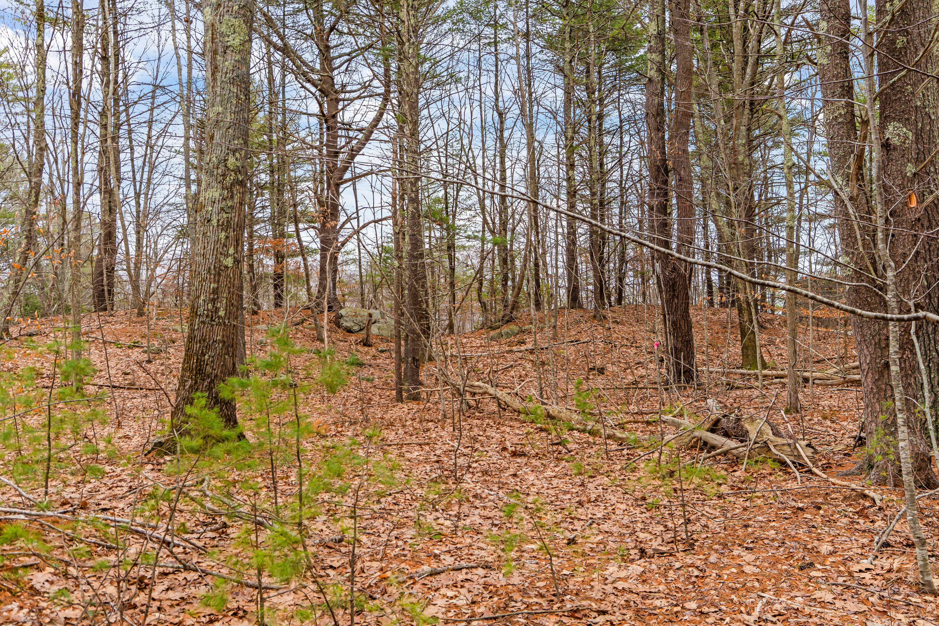 16 Fall Mill Road, Unit LOT 2 York, ME 03909 - Photo 10 of 12 16 Fall Mill Rd Ext, Lot 2, York