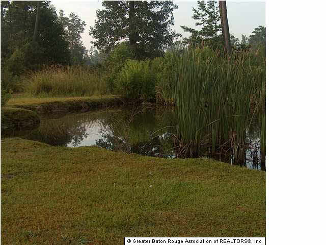 10526 Crossover Road Denham Springs, LA 70726 - Photo 2 of 3 Gallery Image 2