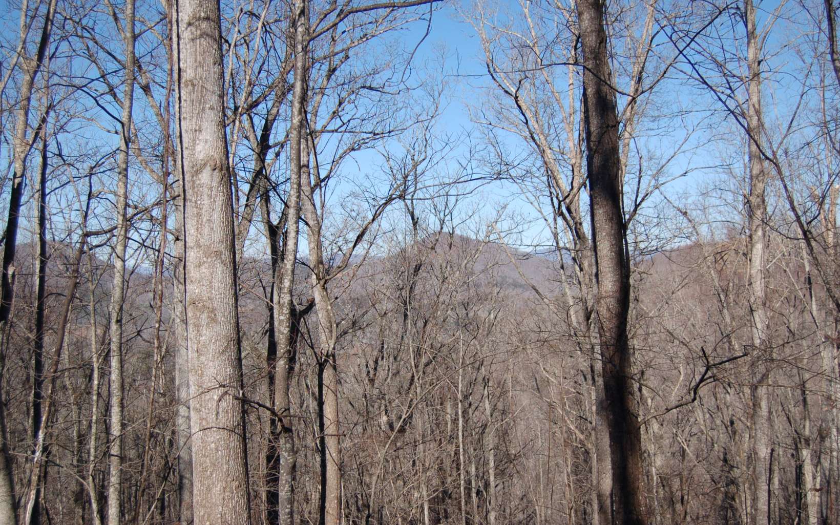 12 Harris Ridge Road Murphy, NC 28906 - Photo 2 of 12 Additional View