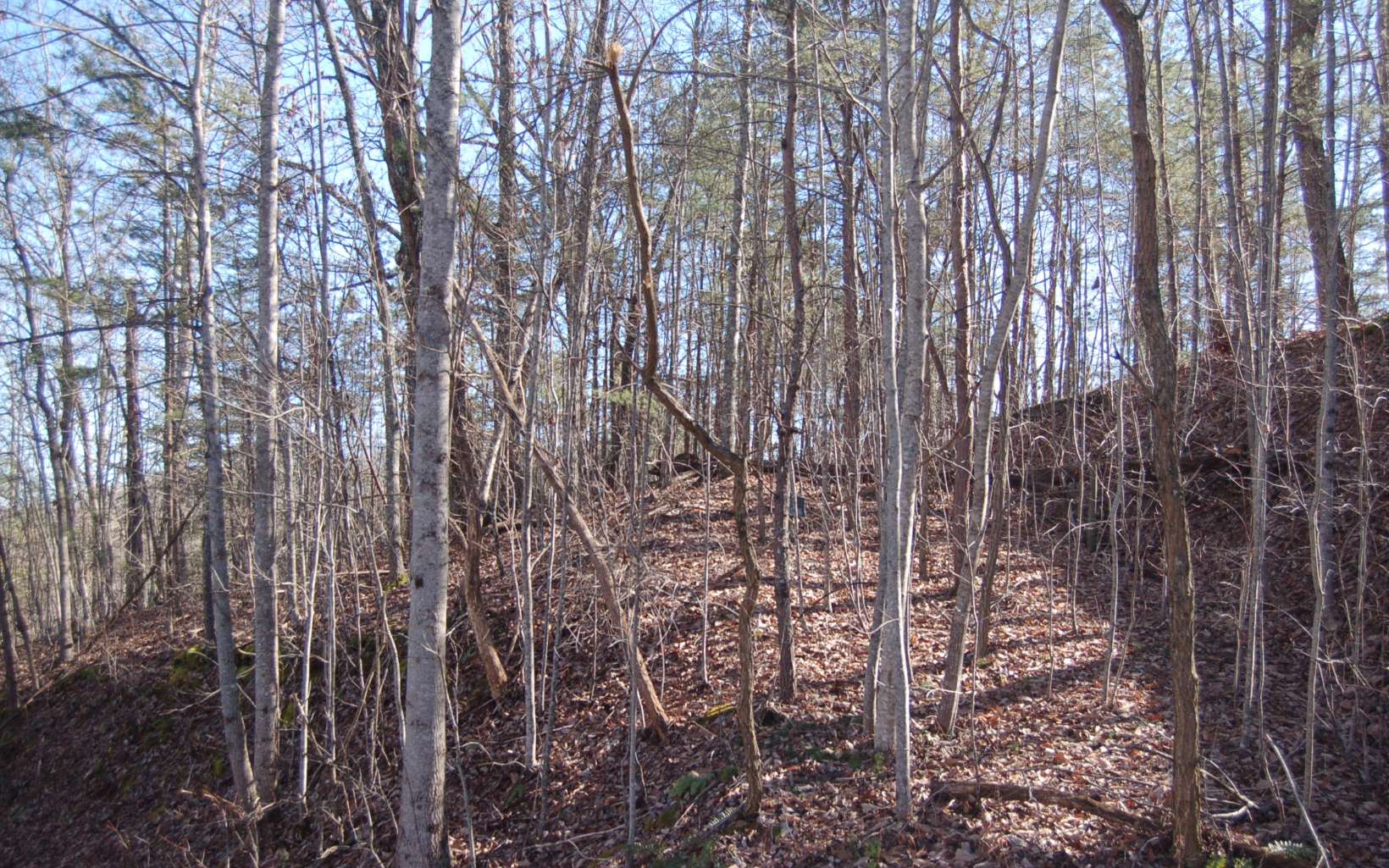 12 Harris Ridge Road Murphy, NC 28906 - Photo 3 of 12 Additional View