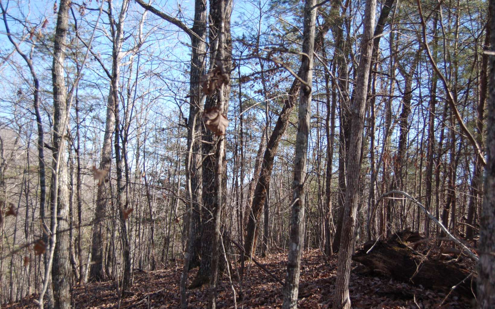 12 Harris Ridge Road Murphy, NC 28906 - Photo 4 of 12 Additional View
