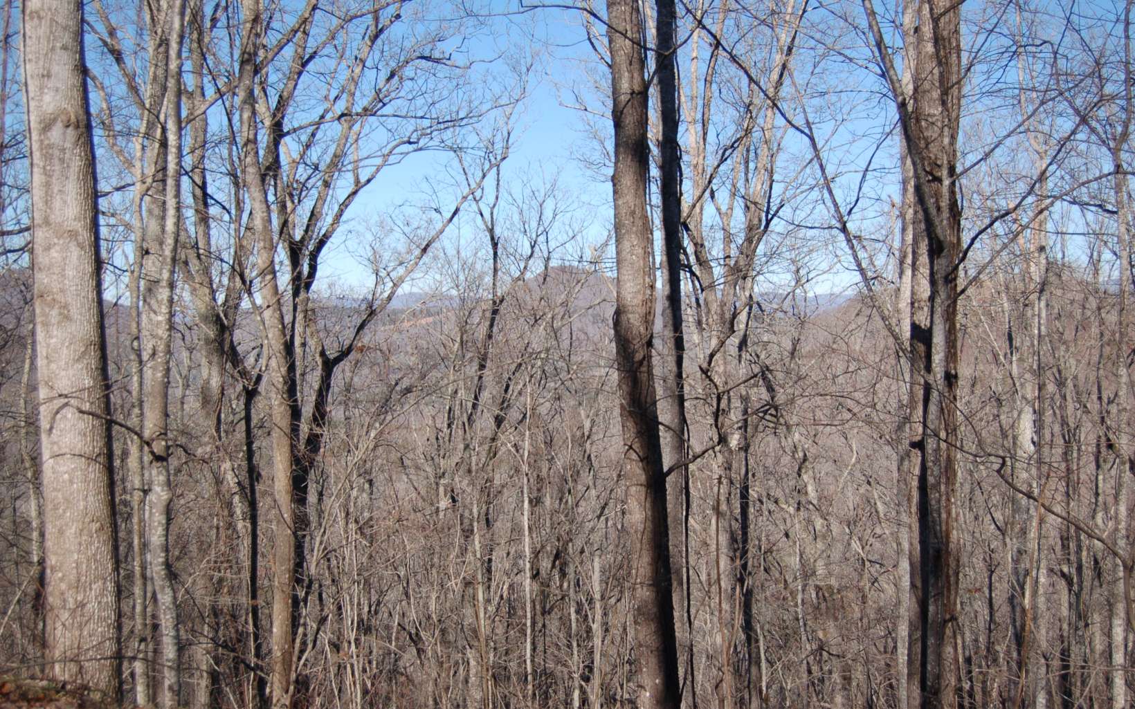 12 Harris Ridge Road Murphy, NC 28906 - Photo 5 of 12 Additional View