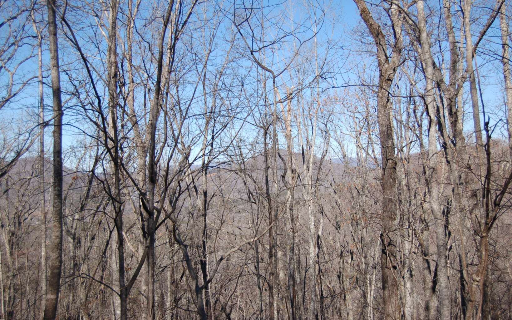 12 Harris Ridge Road Murphy, NC 28906 - Photo 6 of 12 Additional View