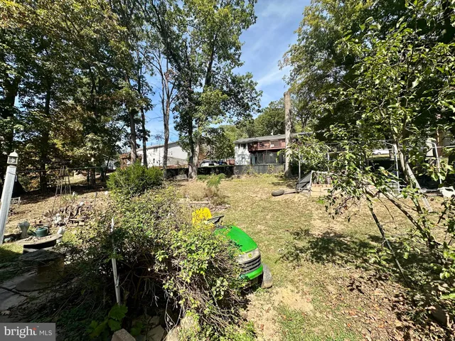 a view of a road with a tree