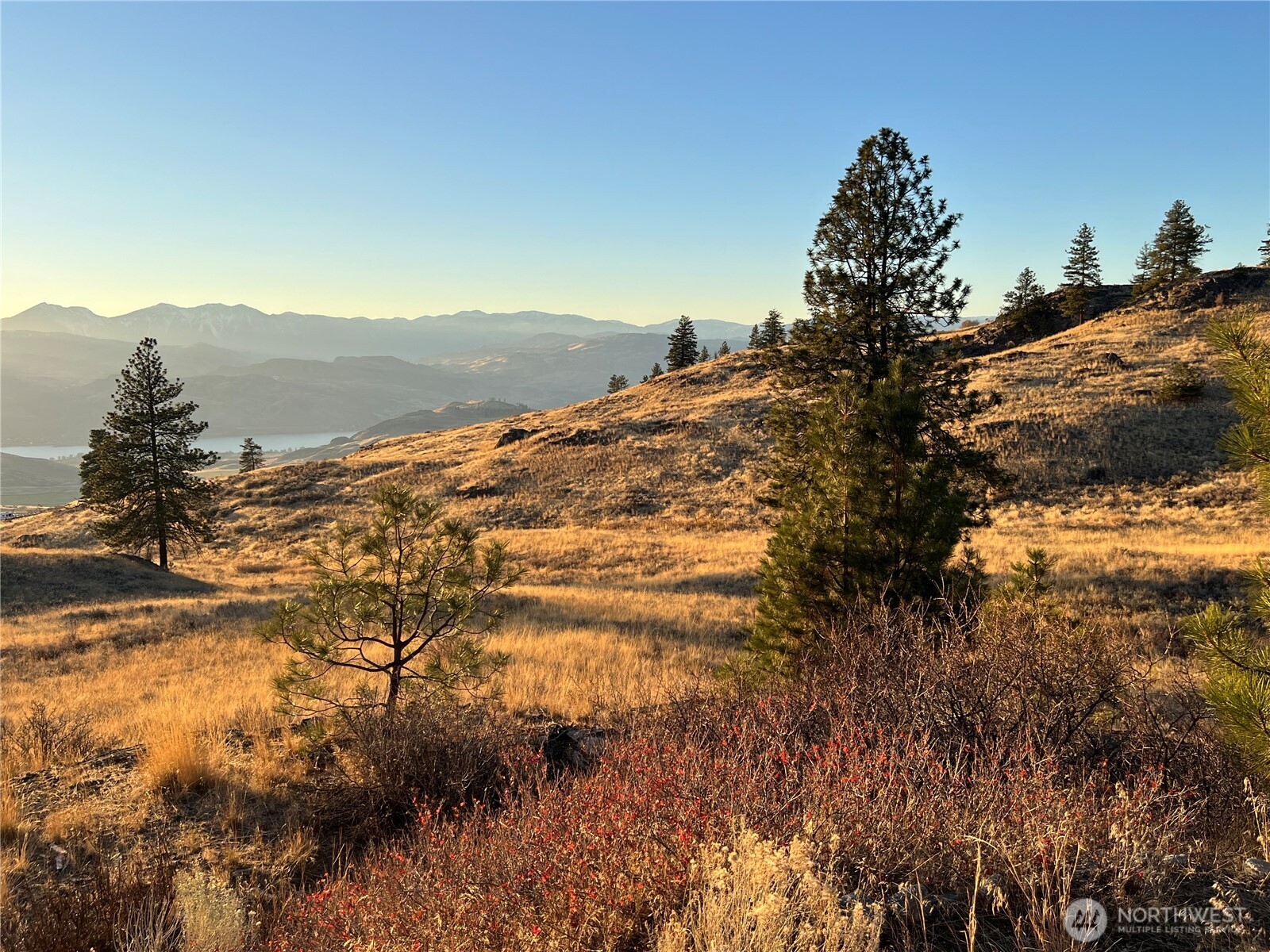 41 Homestead Spur Road Oroville, WA 98844 - Photo 1 of 32 Gallery Image 1
