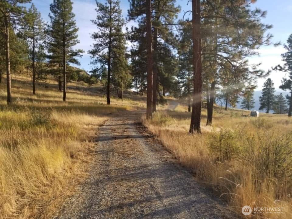 41 Homestead Spur Road Oroville, WA 98844 - Photo 15 of 32 Gallery Image 15