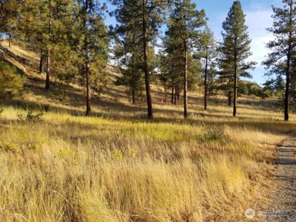 41 Homestead Spur Road Oroville, WA 98844 - Photo 16 of 32 Gallery Image 16