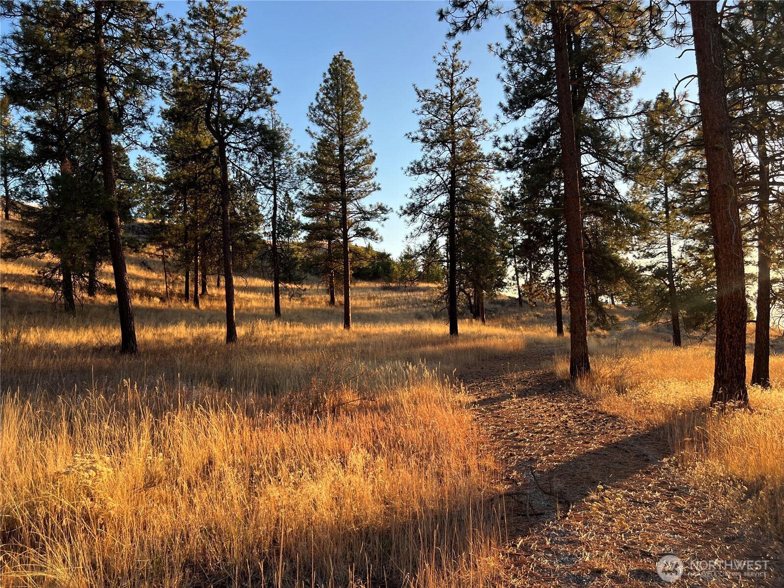 41 Homestead Spur Road Oroville, WA 98844 - Photo 19 of 32 Gallery Image 19