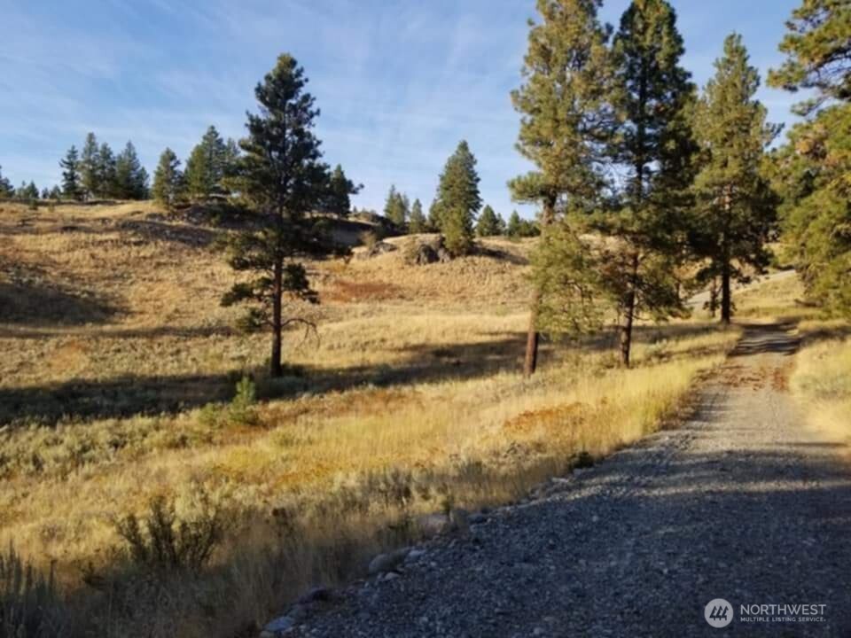 41 Homestead Spur Road Oroville, WA 98844 - Photo 24 of 32 Gallery Image 24