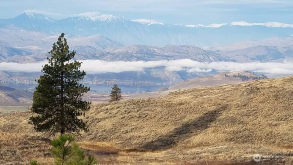 41 Homestead Spur Road Oroville, WA 98844 - Photo 4 of 32 Gallery Image 4