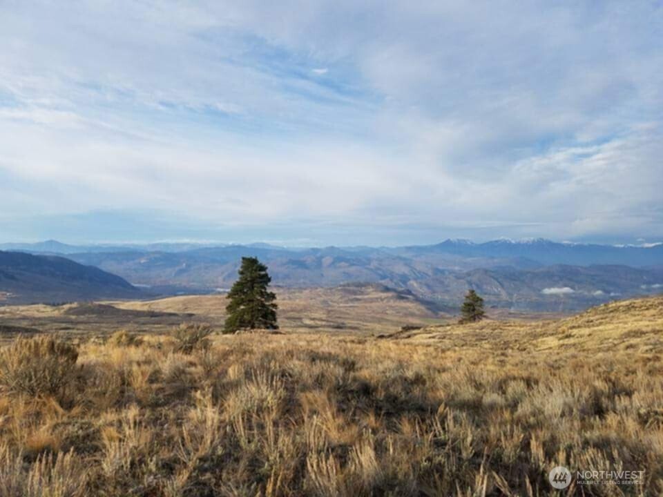 41 Homestead Spur Road Oroville, WA 98844 - Photo 5 of 32 Gallery Image 5