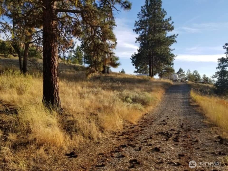 41 Homestead Spur Road Oroville, WA 98844 - Photo 6 of 32 Gallery Image 6