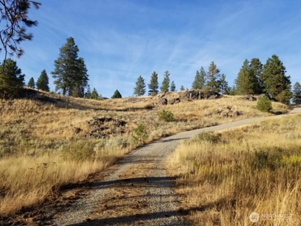 41 Homestead Spur Road Oroville, WA 98844 - Photo 7 of 32 Gallery Image 7